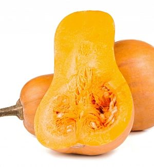 CALABAZA VIOLINA