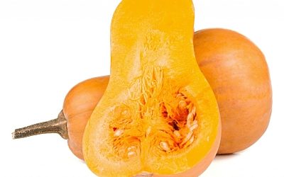 CALABAZA VIOLINA