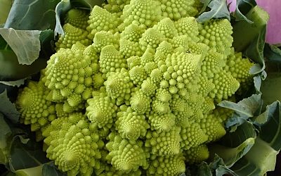 COL ROMANESCO