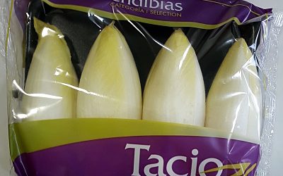 ENDIVIA BANDEJA