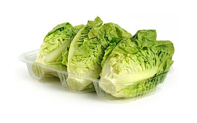 LECHUGA COGOLLOS
