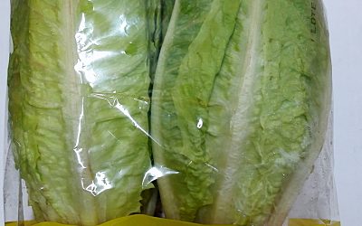 LECHUGA ROMANA BANDEJA