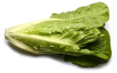 LECHUGA ROMANA
