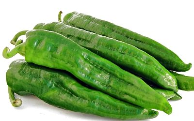 PIMIENTO VERDE ITALIANO
