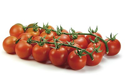 TOMATE CHERRY
