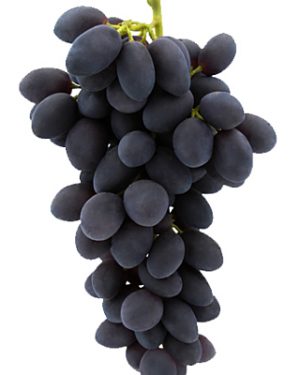 UVA NEGRA SIN PEPITA