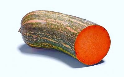 CALABAZA LARGA