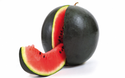 SANDÍA NEGRA CON PEPITA