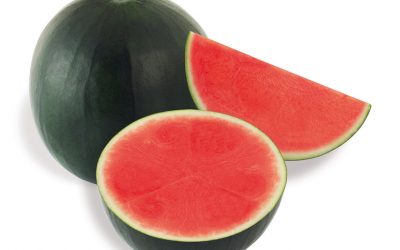 SANDÍA NEGRA SIN PEPITA