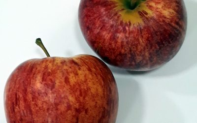 MANZANA ROYAL GALA