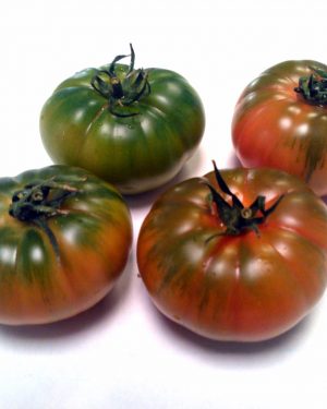 TOMATE RAF IBERIKO