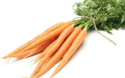 ZANAHORIA