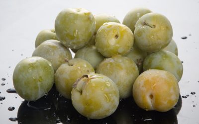 CIRUELA CLAUDIA TOLOSA