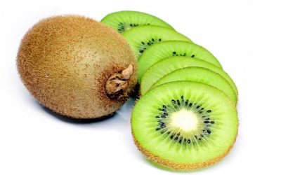 KIWI GALLEGO