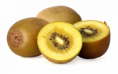 KIWI GOLD