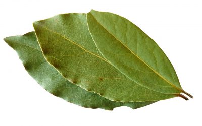 LAUREL