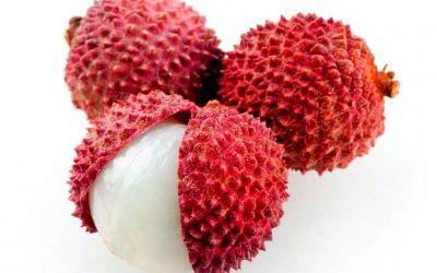 LITCHI