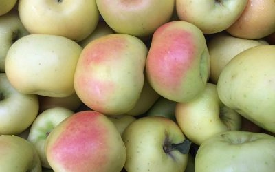 MANZANA VERDE DONCELLA