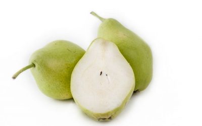 PERA BLANQUILLA O DE AGUA