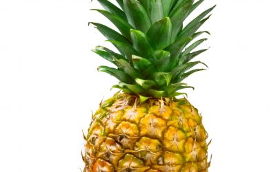 PIÑA