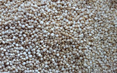 QUINOA