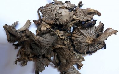 TROMPETILLA AMARILLA DESHIDRATADO