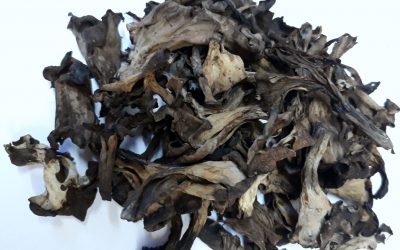 TROMPETILLA NEGRA DESHIDRATADO