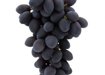 UVA NEGRA SIN PEPITA