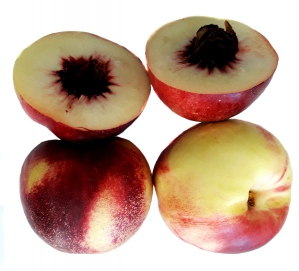 NECTARINA BLANCA