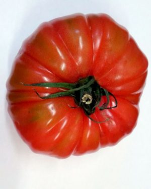 TOMATE ROSA