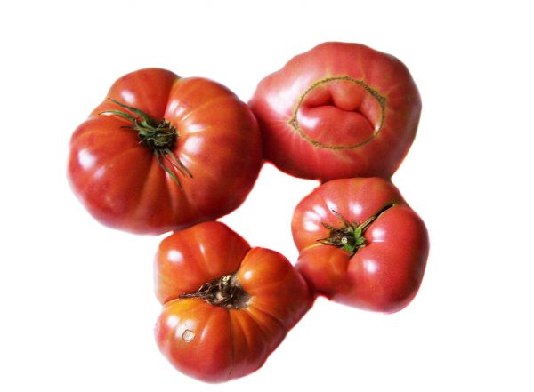 TOMATE ROSA BARBASTRO
