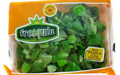 CANÓNIGO BOLSA 100 gr