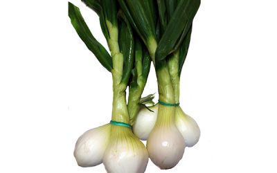 CEBOLLA TIERNA manojo 3 Un