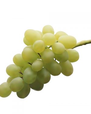 UVA BLANCA