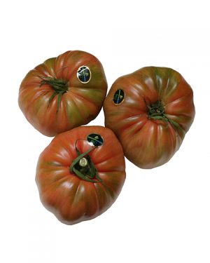 TOMATE ROSA 